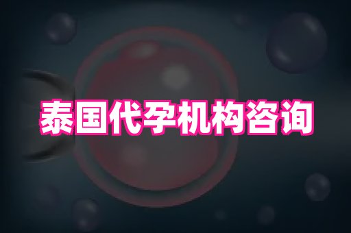 泉州助孕网 1