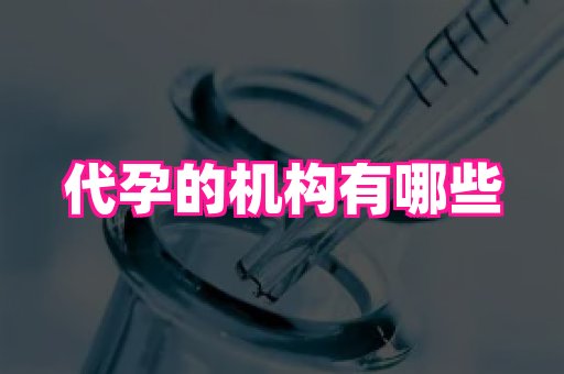 泉州助孕网 4